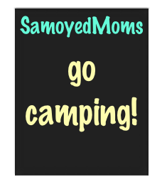 SamoyedMoms


go 
camping!