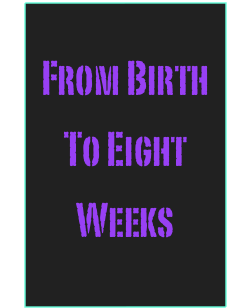 






From Birth
To Eight
Weeks