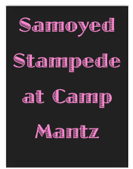 Samoyed
Stampede
at Camp Mantz