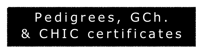 Pedigrees, GCh.
& CHIC certificates